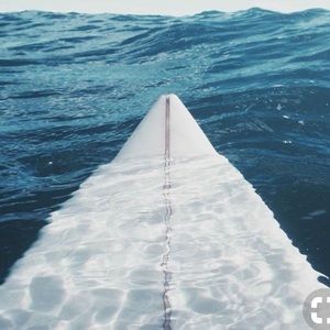 Meet your Posher, Jesse